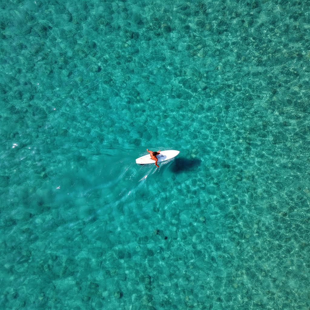 Aerial surfer